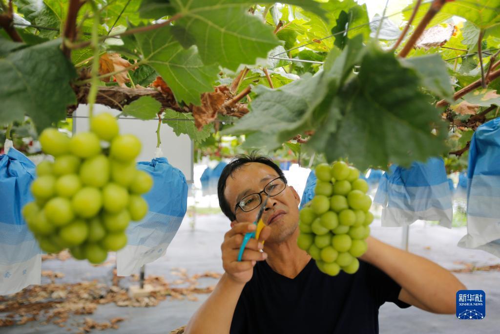 mg网上网投